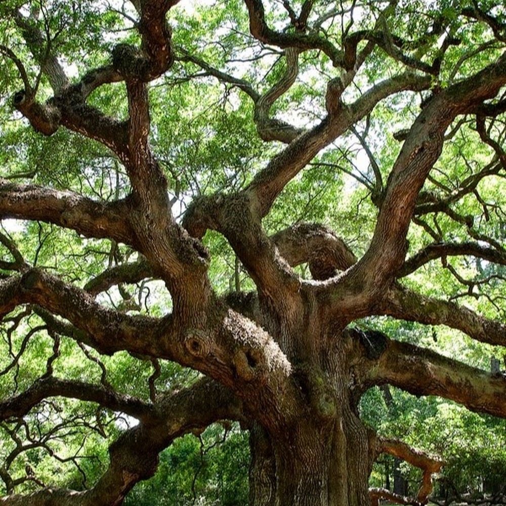 Meet your Posher, Tera